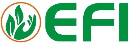Efi Device mark 4589533 Trademark