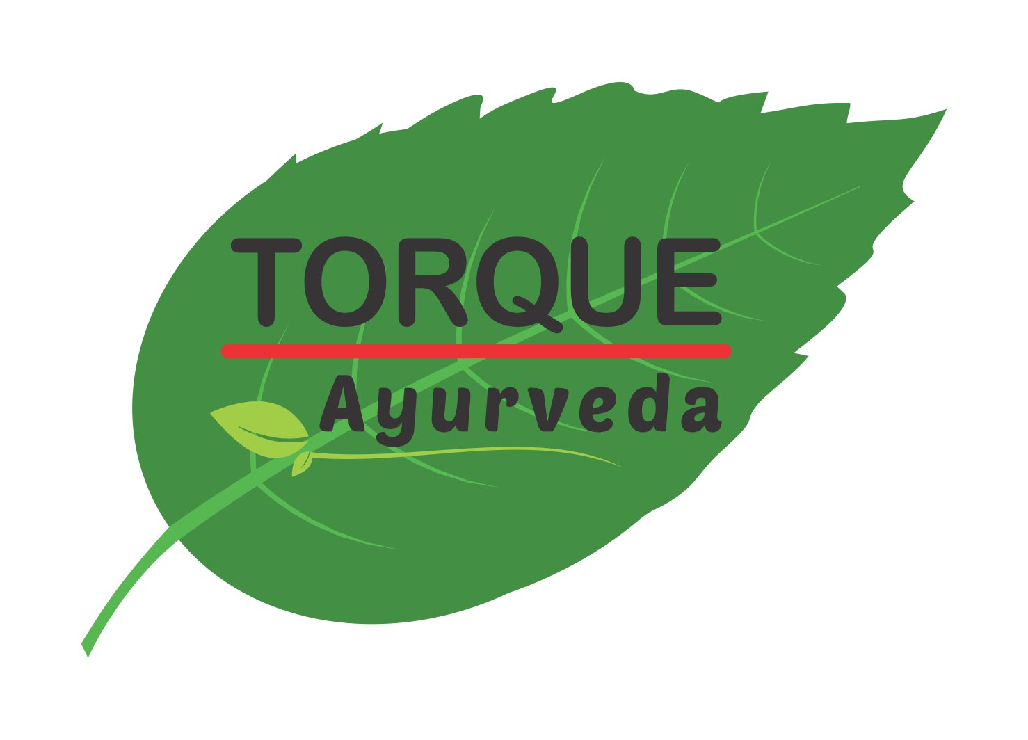 Torque Ayurveda Device mark 4586904 Trademark