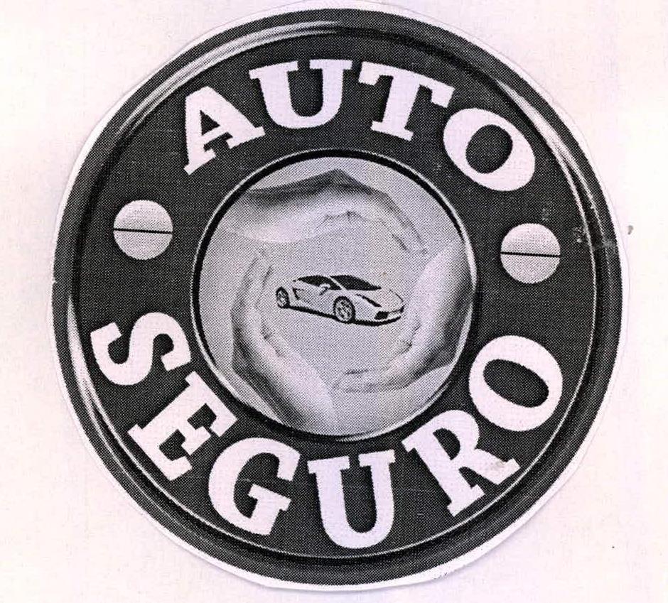 Auto Seguro Device mark 2221648 Trademark