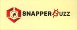 Snapper Buzz Device mark 4590813 Trademark