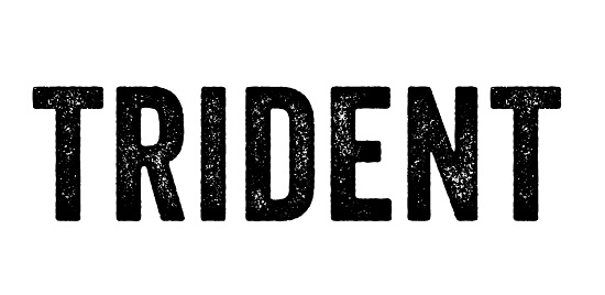 Trident Device mark 4602490 Trademark