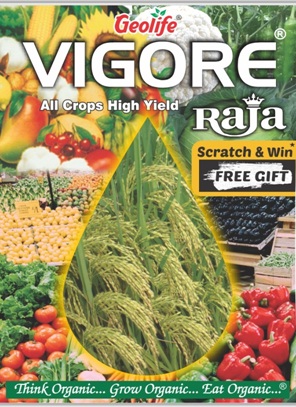 Geolife Vigore Raja Device mark 4603150 Trademark