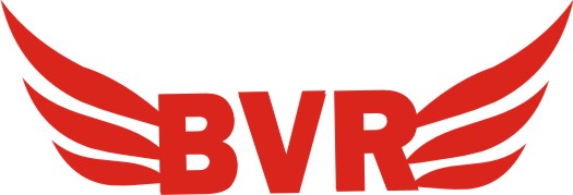 Bvr Device mark 4611730 Trademark