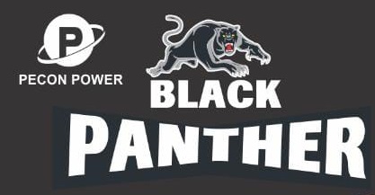 Peconpower Group Black Panther Device mark 4619292 Trademark