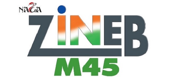 Naga Zineb M54 Device mark 4624945 Trademark