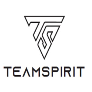 Ts Teamspirit Device mark 4641272 Trademark