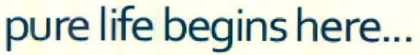 Pure Life Begins Here... Device mark 2549804 Trademark