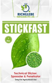 Stickfast Device mark 4646416 Trademark