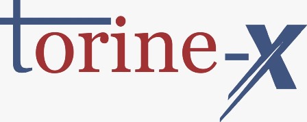 Torine-x Device mark 4650673 Trademark