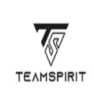 Ts Teamspirit Device mark 4646776 Trademark
