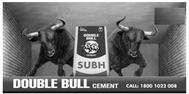 Double Bull Subh Cement Device mark 4658643 Trademark