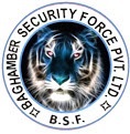 Baghamber Security Force Pvt Ltd-bsf Device mark 4656991 Trademark