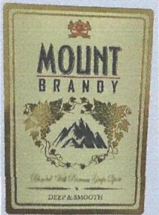 Mount Brandy Device mark 4665826 Trademark
