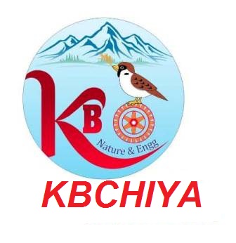 Kb Kbchiya With Device Device mark 4668723 Trademark