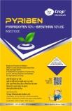 Pyriben Device mark 4675284 Trademark