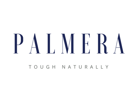 Palmera Device mark 4680938 Trademark