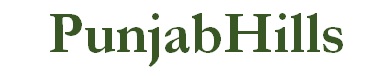 Punjabhills Device mark 4681184 Trademark