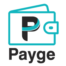 Payge Device mark 4683334 Trademark