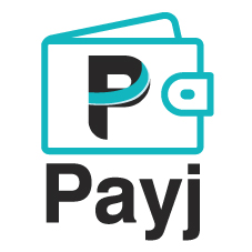 Payj Device mark 4683338 Trademark
