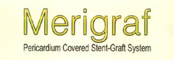 Merigraf Device mark 2619173 Trademark