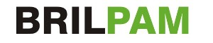 Brilpam Device mark 4694353 Trademark