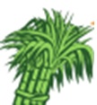 Sugarcane Logo Device mark 4697690 Trademark