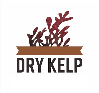 Drykelp Device mark 4698725 Trademark