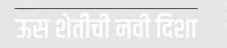 Uss Shetichi Navi Disha (with Device) Device mark 4708143 Trademark