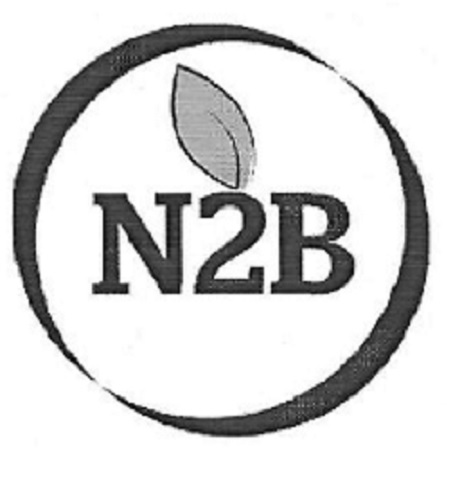 N2b Device mark 4711858 Trademark