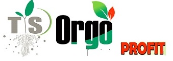 Tsorgo Profit Device mark 4712243 Trademark