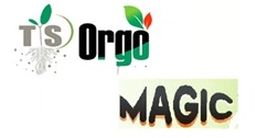 Tsorgo's Magic Device mark 4712240 Trademark