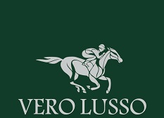 Vero Lusso Device mark 4737724 Trademark