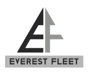 Everest Fleet Device mark 4741410 Trademark