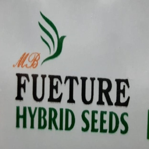 Mbfueture Hybrid Seeds Device mark 4751367 Trademark