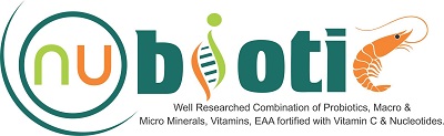 Nubiotic Device mark 4759045 Trademark