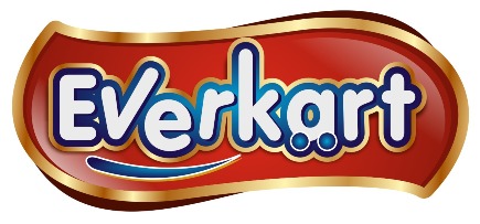Everkart Device mark 4764273 Trademark