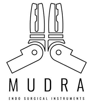 Mudra Endo Surgical Instruments Device mark 4781980 Trademark