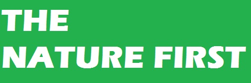 The Nature First Device mark 4782838 Trademark