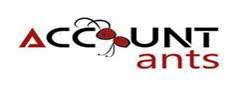 Account-ants Device mark 4787856 Trademark