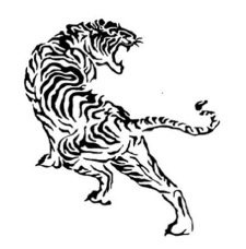 Tiger Device Device mark 4793493 Trademark