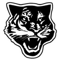 Tiger Face Device Device mark 4793491 Trademark