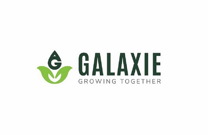 Galaxie Growing Together Device mark 4795335 Trademark