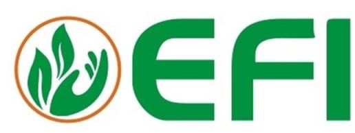 Efi Device mark 4795672 Trademark