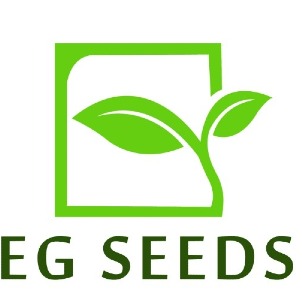 E G Seeds Device mark 4800391 Trademark