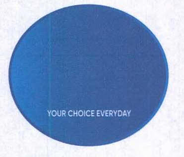 Your Choice Everyday Device mark 4802458 Trademark