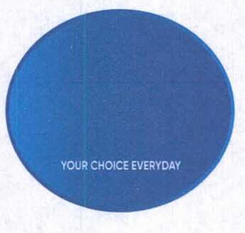 Your Choice Everyday Device mark 4802456 Trademark