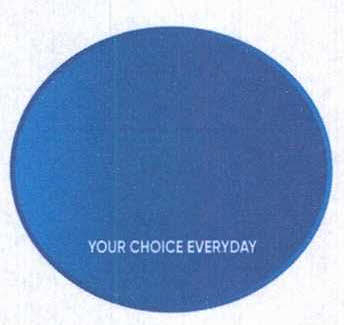 Your Choice Everyday Device mark 4802459 Trademark