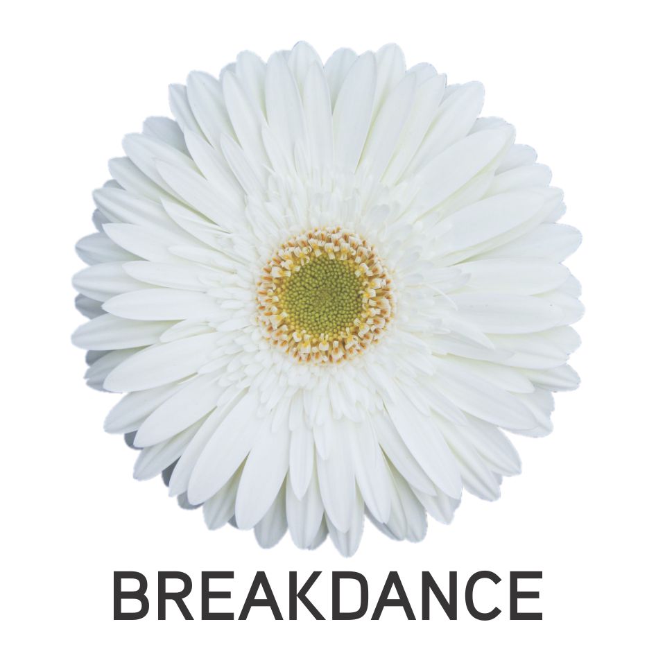 Breakdance Device mark 4803892 Trademark