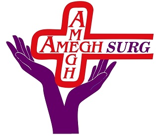 Amegh Surg (with Logo) Device mark 4809634 Trademark