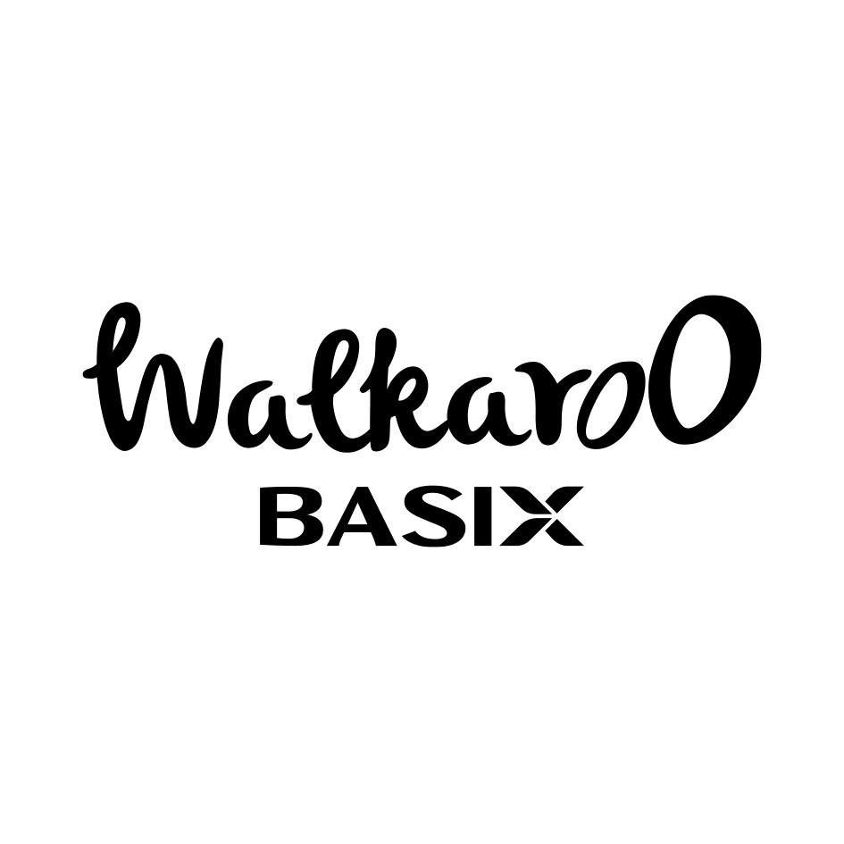 Walkaroo Basix Device mark 4810239 Trademark